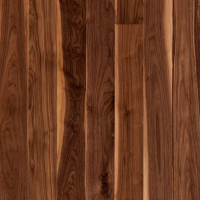 Традишинал