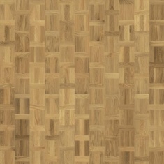 Дуб Палаццо Ровере