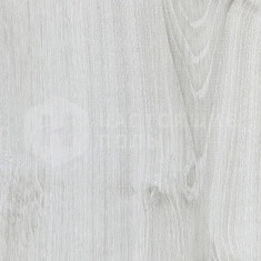 S627 Дуб Полярный