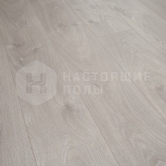 D4202 Дуб Интерлакен