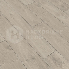 D3034 Дуб Энгельберг