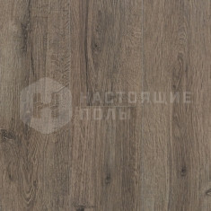 62001960 Эбби Роуд