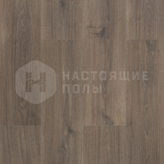 62002123 Дуб Индийский