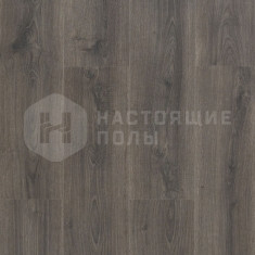 62002124 Дуб Пекан