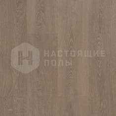 62002129 Дуб Золотой