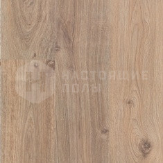 62001382 Дуб Осло