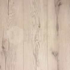 62001357 Дуб Весенний