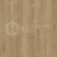 Ретт 1001-21, 1220*183*3,5 мм