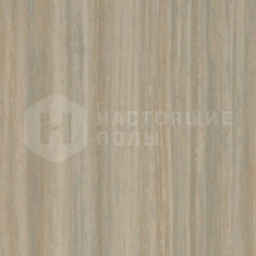 5253 bleached gold, 2000 мм