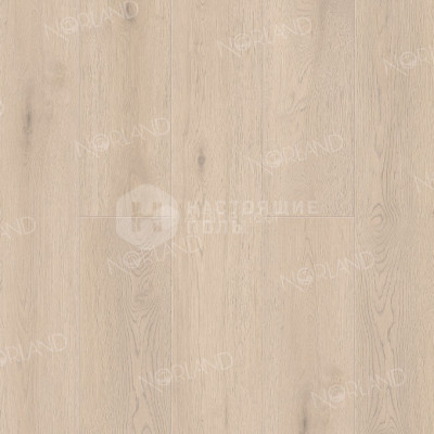 ПВХ литка клеевая Alpine Floor Norland Sigrid LVT 1003-5 Алант, 1219.2*184.15*2 мм