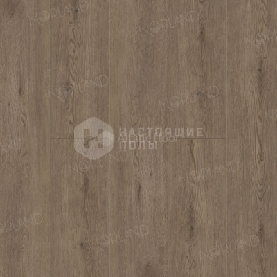 ПВХ литка клеевая Alpine Floor Norland Sigrid LVT 1003-8 Флоси, 1219.2*184.15*2 мм