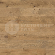 17929 Дуб Крек натуральное масло, 2200*223*11 мм