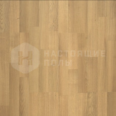 62002139 Дуб Классик