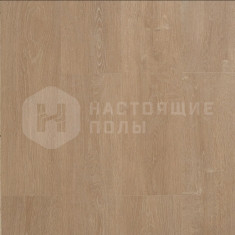 62002128 Дуб Янтарный