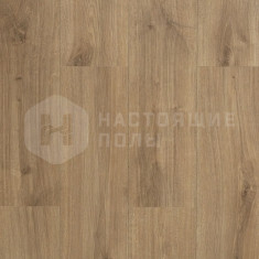 62002122 Дуб Карамельный