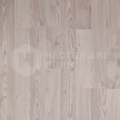 62001384 Дуб Белый