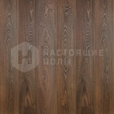 Дуб Mагеллан