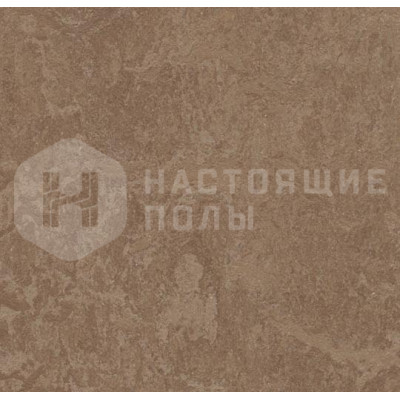 Натуральный линолеум рулонный Marmoleum Real 2.0 3254 Clay Натуральный линолеум рулонный Marmoleum Real 2.0 3254 Clay