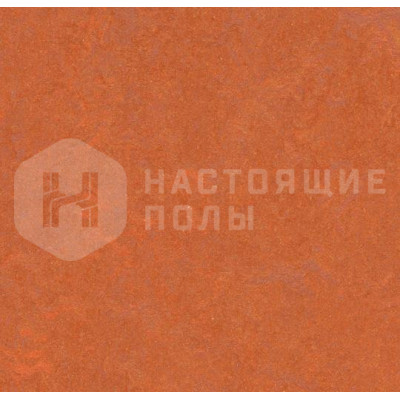 Натуральный линолеум рулонный Marmoleum Fresco 2.5 мм 3870 Red Copper