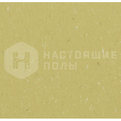 Натуральный линолеум рулонный Marmoleum Piano 3634 Meadow