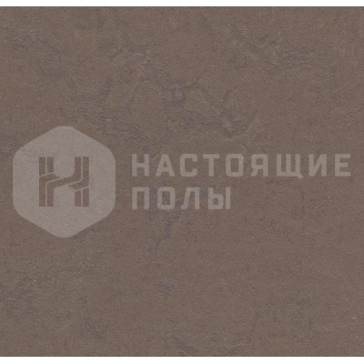 Натуральный линолеум рулонный Marmoleum Concrete 3568 Delta Lace