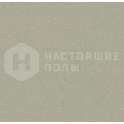 Натуральный линолеум рулонный Marmoleum Concrete 3724 Orbit Натуральный линолеум рулонный Marmoleum Concrete 3724 Orbit