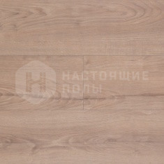 62000566 Родео Драйв