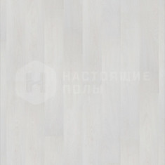 Дуб Шервуд белый