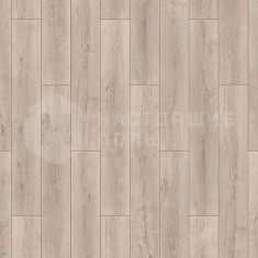 Дуб Эффект Таррагон