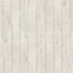 Дуб Боккаччо