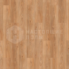 Дуб Золотой