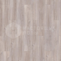 Ясень Серый