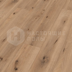 6843 Дуб Лайт филд однополосный, 2052*220*8 мм