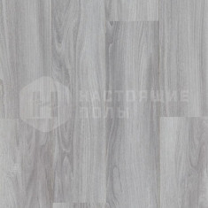 62001361 Вяз Чикаго