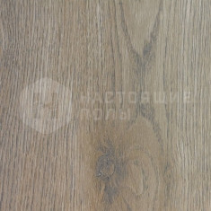 O536 Дуб Лен