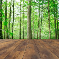 Евгений Сашин